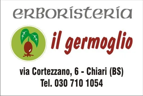 11-IL-GERMOGLIO