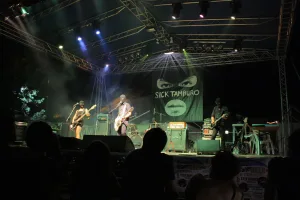 festa-camignonissima-2015-5